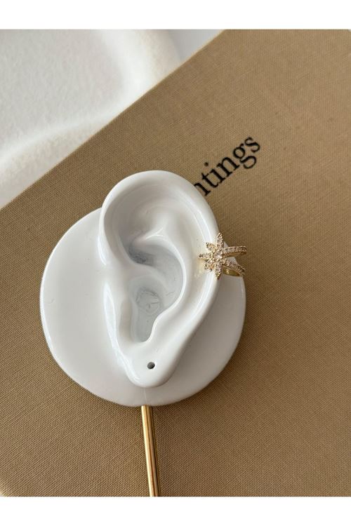 Vip Kıkırdak Küpe