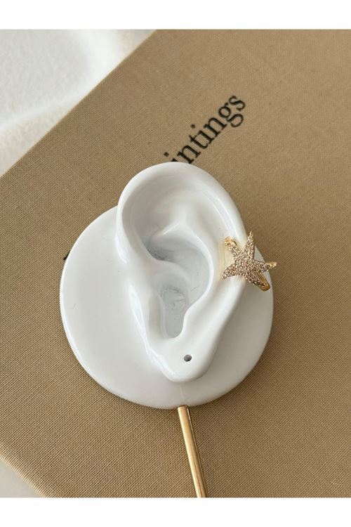 Vip Kıkırdak Küpe