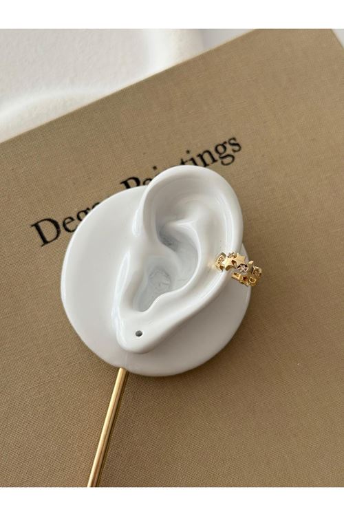 Vip Kıkırdak Küpe