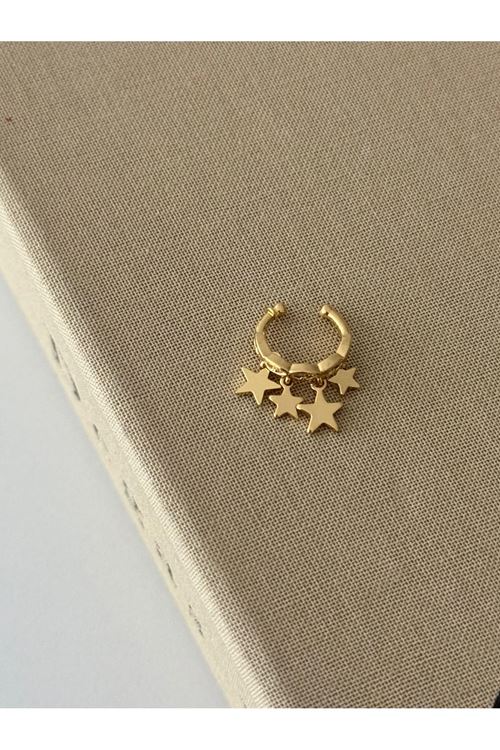 Vip Kıkırdak Küpe