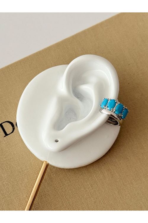 Vip Kıkırdak Küpe