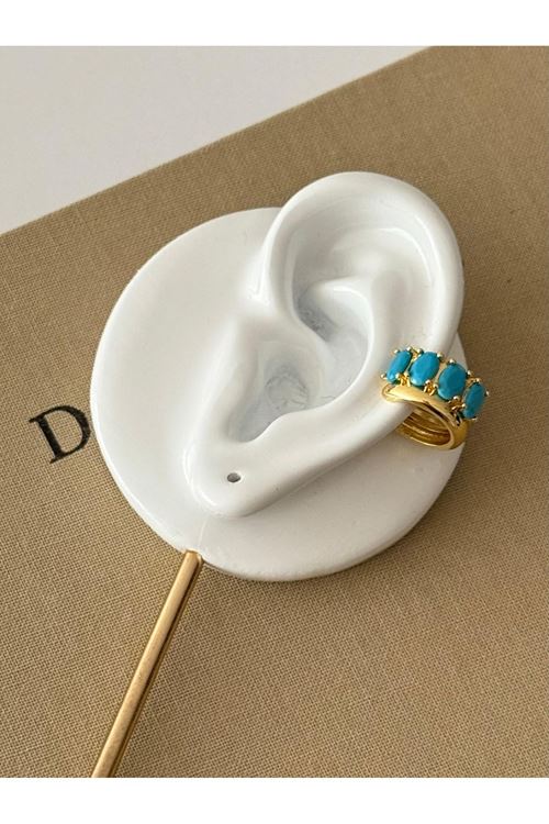 Vip Kıkırdak Küpe