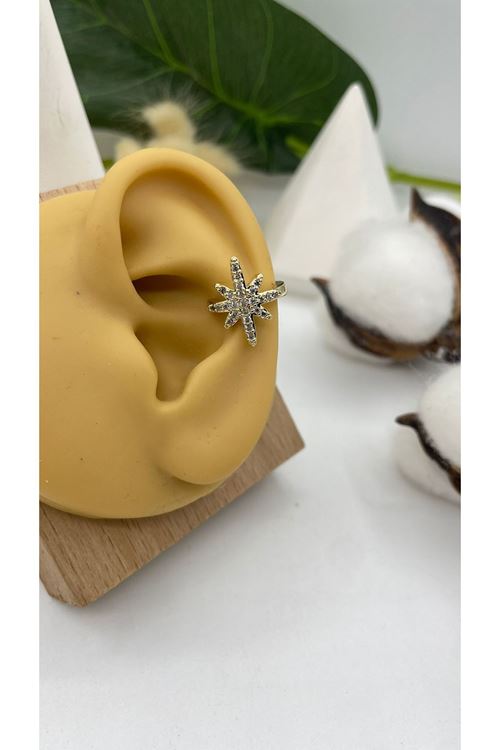 Vip Kıkırdak Küpe