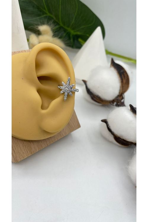 Vip Kıkırdak Küpe