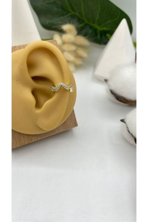 Vip Kıkırdak Küpe