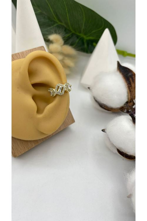 Vip Kıkırdak Küpe