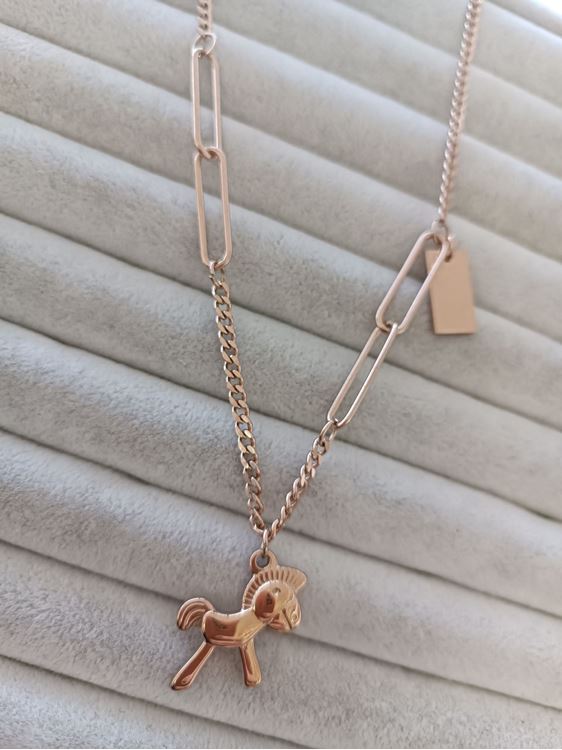 ÇELİK KOLYE ROSE RENK