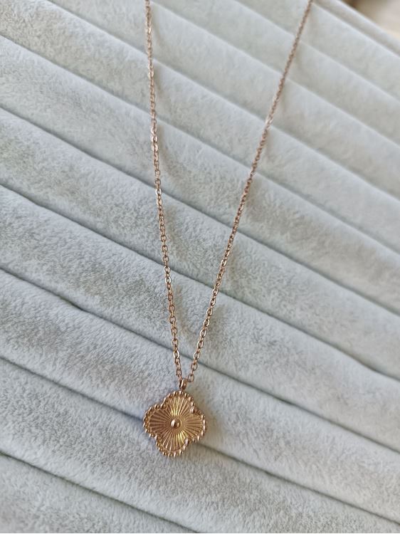 ÇELİK KOLYE ROSE RENK