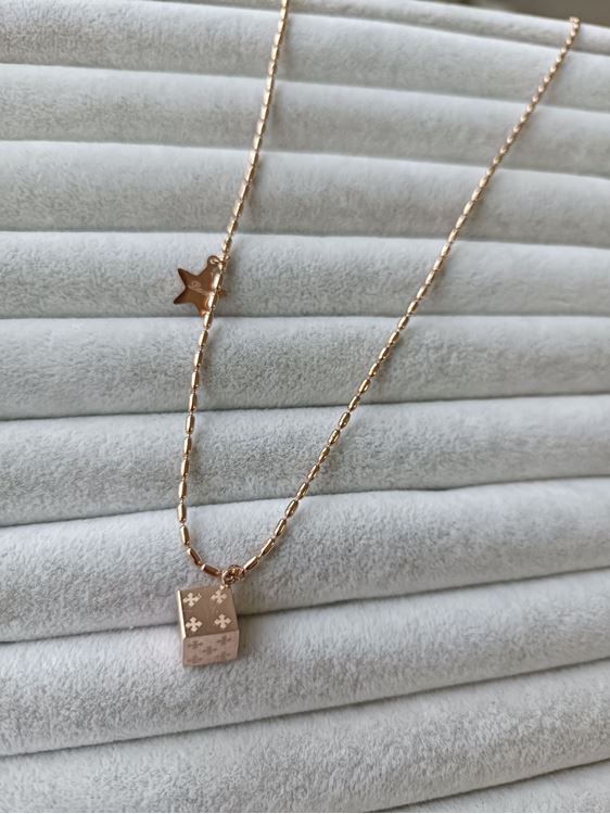 ÇELİK KOLYE ROSE RENK